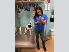 Jennifer Moreira process new arrivals at the Humane Society of the Treasure Coast.